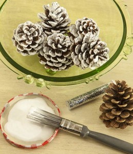 Painted Fir Cones