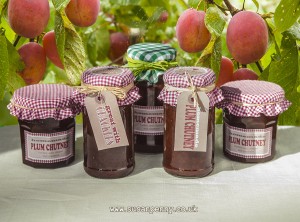 Make some sweet Plum Chutney